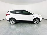 Used 2019 Ford Escape Titanium image 4