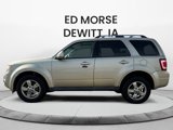 Used 2010 Ford Escape Limited image 2