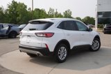 Used 2020 Ford Escape SE image 5