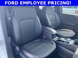 New 2024 Ford Escape ST-Line w/ Equipment Group 301A image 4