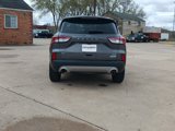 Used 2020 Ford Edge Titanium w/ Equipment Group 301A image 4
