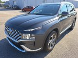 Used 2022 Hyundai Santa Fe SEL w/ Convenience + Premium Package image 2