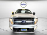 Used 2010 Ford F150 Platinum image 2