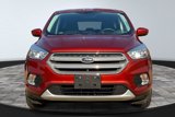 Used 2019 Ford Escape SE image 3