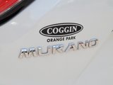 Used 2015 Nissan Murano SL w/ SL Technology Package image 3