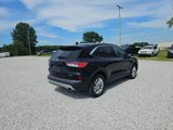 Used 2021 Ford Escape SE w/ Convenience Package image 6