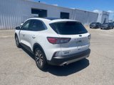 Used 2020 Ford Escape Titanium image 3