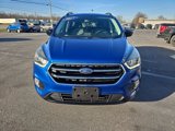 Used 2017 Ford Escape SE w/ Equipment Group 201A image 2
