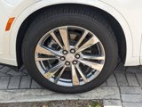 Used 2023 Cadillac XT6 Premium Luxury image 2