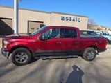 Used 2015 Ford F150 XLT w/ Equipment Group 302A Luxury image 4