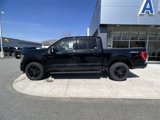 Certified 2023 Ford F150 XLT w/ Equipment Group 302A High image 3