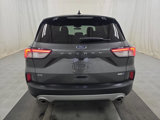 Used 2020 Ford Escape SE image 5