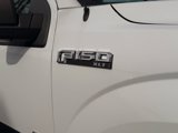 Used 2016 Ford F150 XLT w/ Equipment Group 302A Luxury image 3