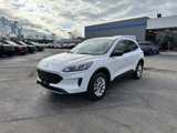 Used 2022 Ford Escape SE image 5