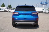 Used 2020 Ford Escape SE image 4