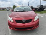 Used 2010 Toyota Corolla image 2