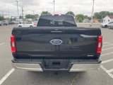 Used 2022 Ford F150 XLT w/ Equipment Group 302A High image 6