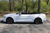 Used 2020 Ford Mustang Premium image 2
