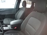 New 2025 Ford Escape Active w/ Cold Weather Package image 6