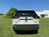 Used 2020 Toyota RAV4 Limited image 6