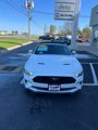Used 2022 Ford Mustang Premium image 4