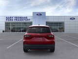 New 2025 Ford Escape ST-Line w/ Tech Pack #1 image 5
