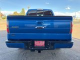 Used 2014 Ford F150 FX4 w/ Equipment Group 402A Luxury image 5