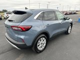 Used 2024 Ford Escape Active w/ Tech Pack #1 image 5