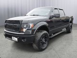 Used 2014 Ford F150 FX4 image 3