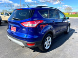 Used 2015 Ford Escape SE w/ Equipment Group 201A image 5