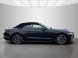 Used 2022 Ford Mustang Premium image 4