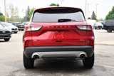 Used 2022 Ford Escape SE w/ Cold Weather Package image 5