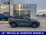 Used 2024 Ford Escape ST-Line w/ Tech Pack #1 image 6