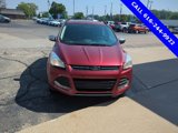 Used 2014 Ford Escape SE w/ Equipment Group 201A image 4