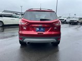 Used 2013 Ford Escape SE image 4
