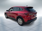 New 2025 Ford Escape Active image 4