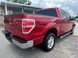 Used 2010 Ford F150 XLT image 5