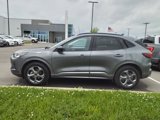 Used 2023 Ford Escape ST-Line image 5