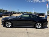 Used 2016 Ford Mustang Coupe image 4