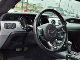 Used 2017 Ford Mustang Premium image 3