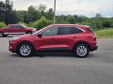Used 2022 Ford Escape SE w/ Convenience Package image 2