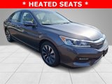 Used 2017 Honda Accord EX-L image 3