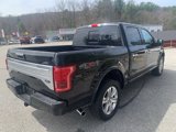 Used 2016 Ford F150 Platinum w/ Equipment Group 701A Luxury image 6