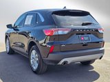 Used 2022 Ford Escape SE image 5