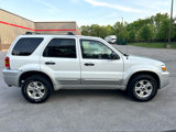 Used 2007 Ford Escape XLT image 6