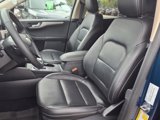 Certified 2020 Ford Escape SEL image 4