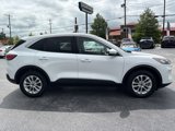 Used 2020 Ford Escape SE image 4