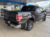 Used 2010 Ford F150 XLT image 5