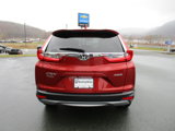 Certified 2019 Honda CR-V EX-L image 6