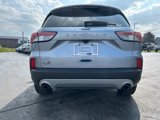 Used 2022 Ford Escape SEL image 4